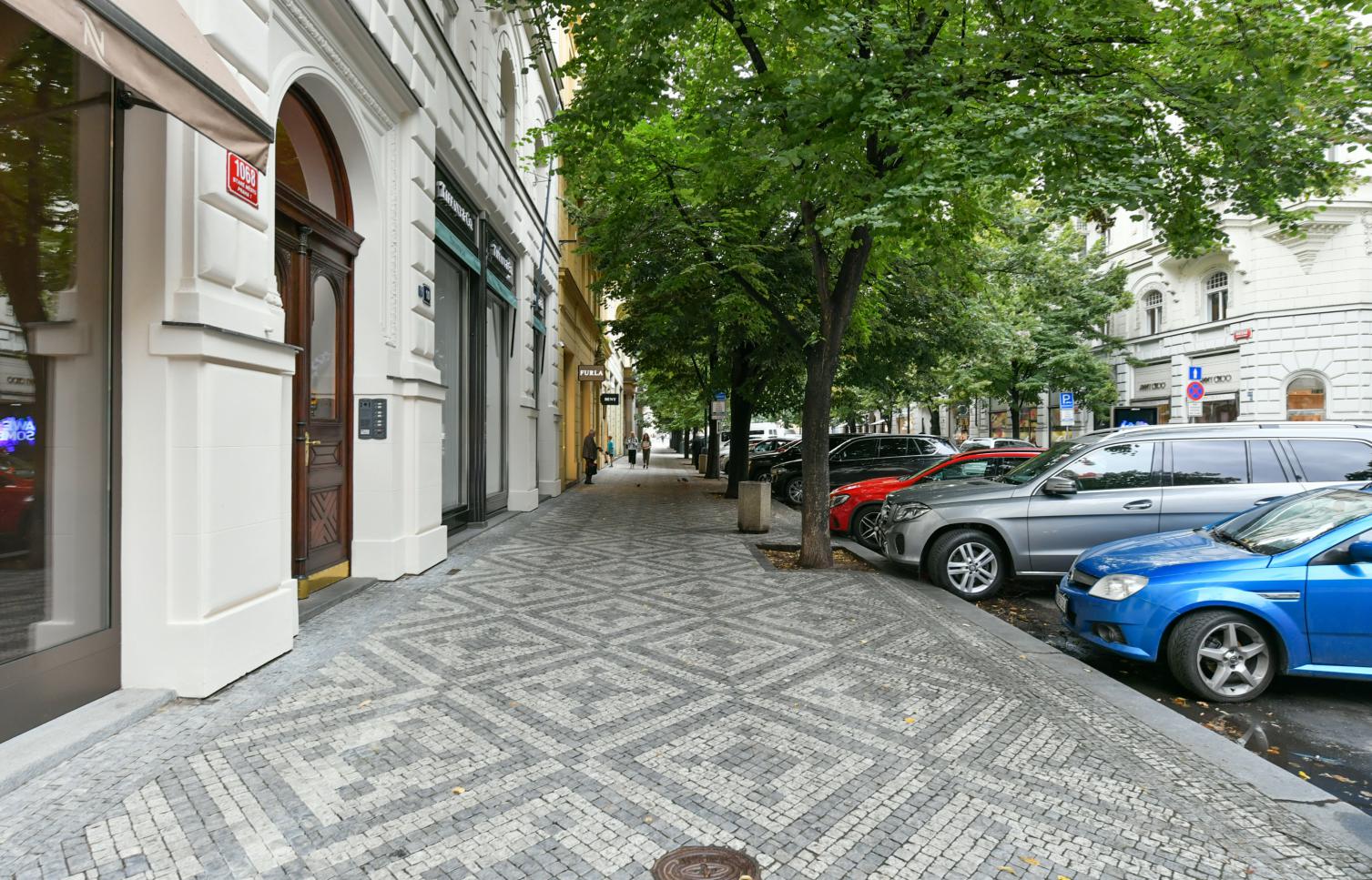 APARTMENT FOR RENT, street Pařížská, Praha 1 - Staré Město