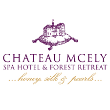 Chateau Mcely